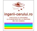 Logo of the website ingerii-cerului.ro