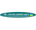 Logo of the website cennetin-melekleri.web.tr